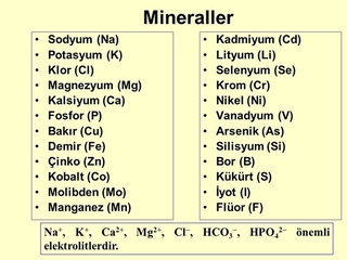 Mineraller ve Özellikleri Nelerdir? Mineraller ve Özellikleri Nelerdir?