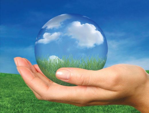 Minerallerin Görevleri Nelerdir?